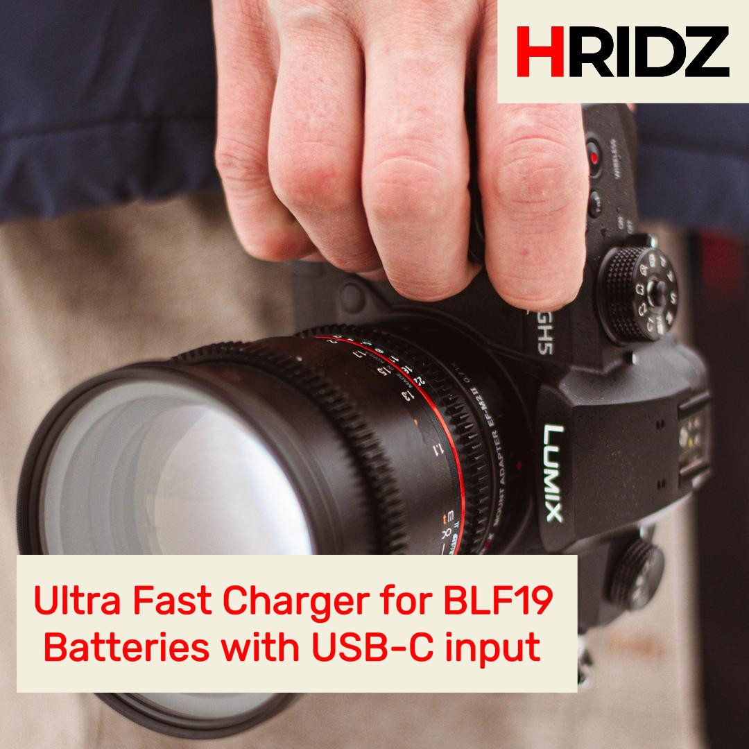 Hridz BLF19 Dual Charger for Panasonic Lumix GH3/GH4/GH5/G9