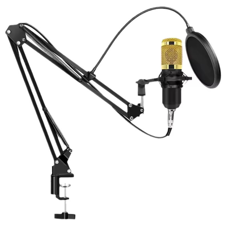 Hridz BM-800 Gold Studio Condenser Microphone Kit with Boom Arm, Pop Filter Shock Mount for Podcast, Streaming, Recording Voiceovers