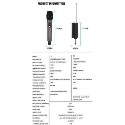 Hridz UR-109S Rechargeable Dual UHF Wireless Microphone System for Karaoke & Performances