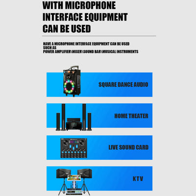 Hridz UR-109S Rechargeable Dual UHF Wireless Microphone System for Karaoke & Performances