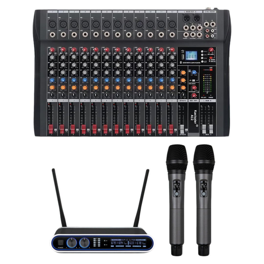 Hridz Ultimate 12-Channel Mixer & Wireless Mic Bundle